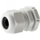 アクシス 5503-761 CABLE GLAND A M20 5PCS