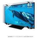 エムディーエス MDS-ETVHP43BLT 43インチ対応 液晶TV保護パネル