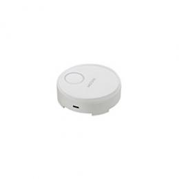 Ricoh 514301 RICOH Wireless Projection Option Button2