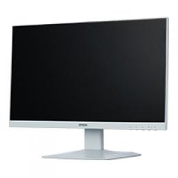 EPSON MC2Y003873 LD22W94L （21.5型ワイド/1920×1080/ミニD-sub 15ピン×1、HDMI 19ピン×1、DisplayPort 20ピン×1/ホワイト/スピーカーあり/狭額縁でスッキリしたデザイン）