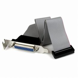 StarTech.com PLATE25F16LP 40cmマザーボードピンヘッダー接続パラレル(LPT)ポート増設ケーブルロープロファイル対応PCIブラケット付きDB25メス-IDCリボン/フラットケーブル(26ピン)
