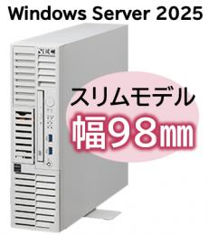 NEC NP8100-3024YPCY Express5800/D/T110m-S(RAID1対応コントローラ搭載) Xeon 6315P 4C/16GB/SAS 600GB*2 RAID1/W2025/タワー 3年保証