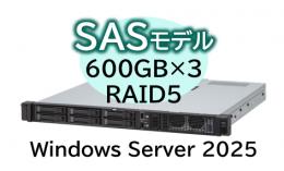 NEC NP8100-3028YP5Y Express5800/D/R110m-1(RAIDコントローラ搭載) Xeon 6325P 4C/16GB/SAS 600GB*3 RAID5/W2025/ラック 3年保証