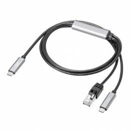 サンワサプライ KB-SL6CLANPD1BK 急速充電対応 USB Type-C LAN変換ケーブル（Gigabit対応・PD100W・1m）