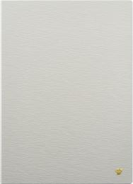 iFLYTEK AINOTE2CASEMI iFLYTEK AINOTE 2 Original Protective Case-Mist