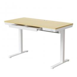 オウルテック HNESD203N-120A HUANUO 隠して整える収納付き昇降デスク 木目調 製品サイズ約1200(W)×600(D)×730(H)mm