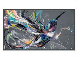 PHILIPS 50BDL3511Q/11 液晶ディスプレイ（サイネージ） 50型/3840×2160/DVI、HDMI/ブラック/スピーカー：有り/Android：無し/4K